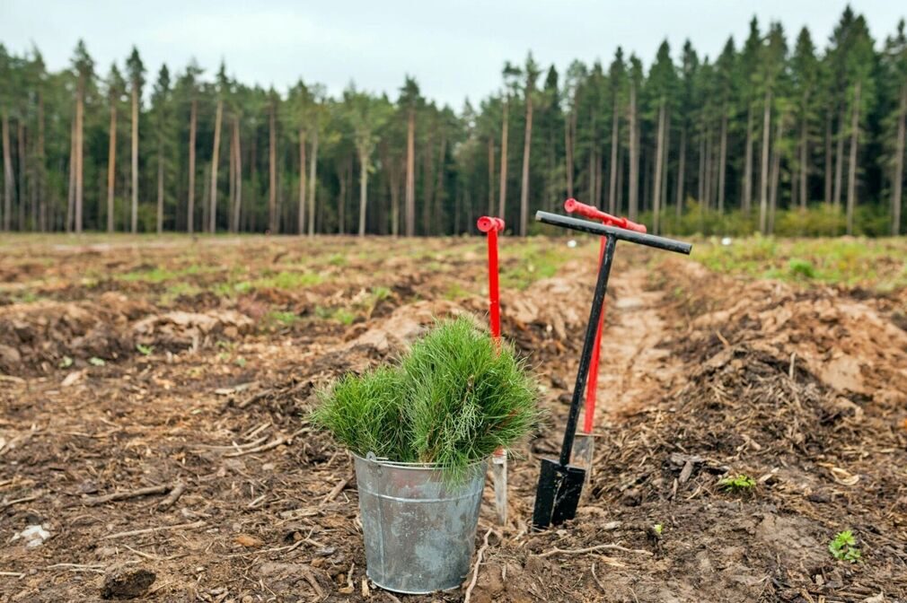 Государственное задание